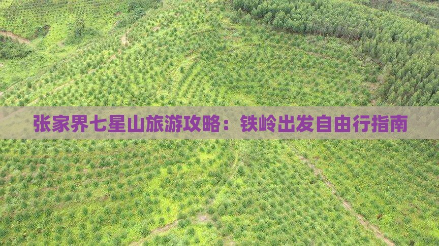 张家界七星山旅游攻略：铁岭出发自由行指南
