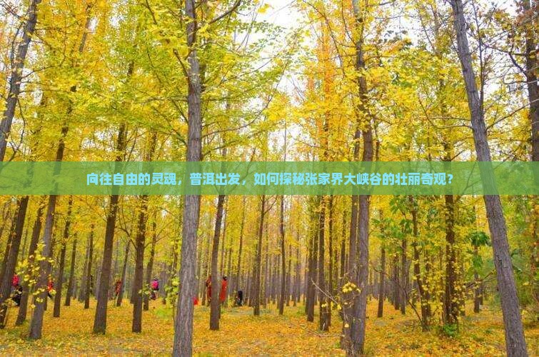 向往自由的灵魂，普洱出发，如何探秘张家界大峡谷的壮丽奇观？