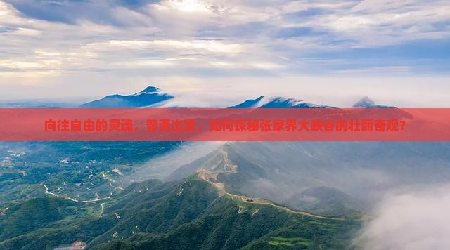 向往自由的灵魂，普洱出发，如何探秘张家界大峡谷的壮丽奇观？
