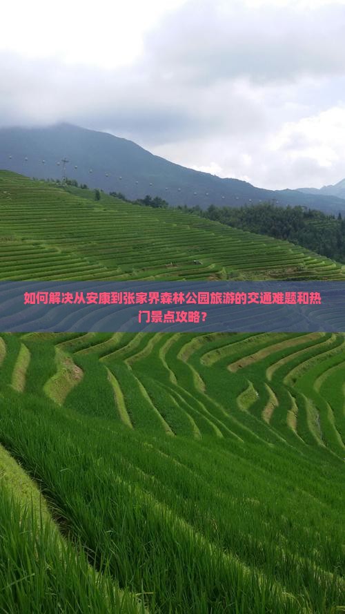 如何解决从安康到张家界森林公园旅游的交通难题和热门景点攻略？
