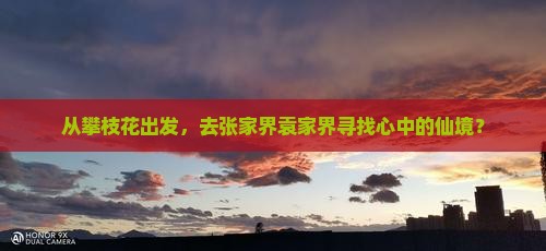 从攀枝花出发，去张家界袁家界寻找心中的仙境？