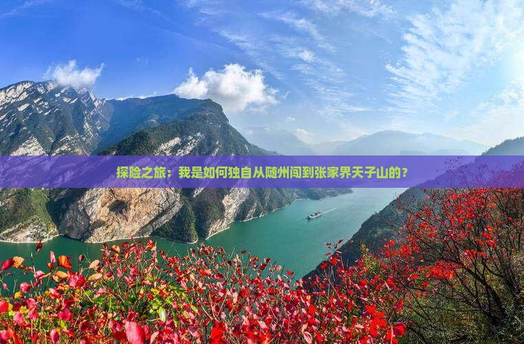 探险之旅：我是如何独自从随州闯到张家界天子山的？