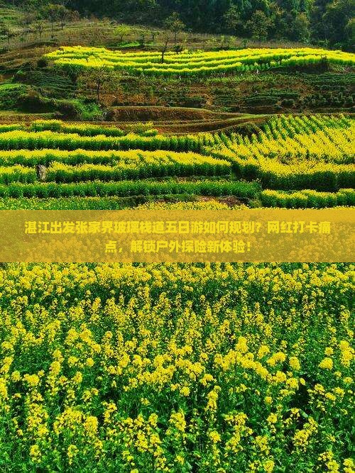 湛江出发张家界玻璃栈道五日游如何规划？网红打卡痛点，解锁户外探险新体验！