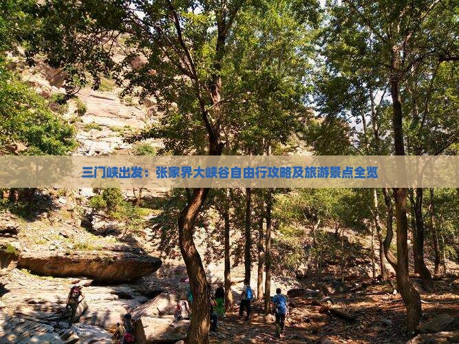 三门峡出发：张家界大峡谷自由行攻略及旅游景点全览