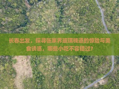 长春出发，探寻张家界玻璃栈道的惊险与美食诱惑，哪些小吃不容错过？
