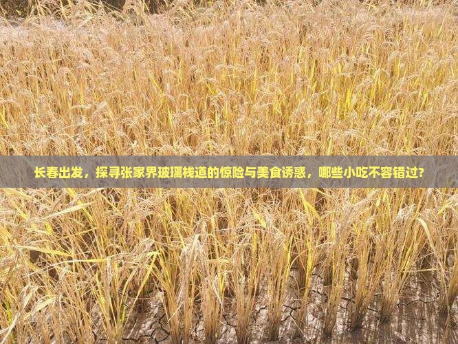 长春出发，探寻张家界玻璃栈道的惊险与美食诱惑，哪些小吃不容错过？