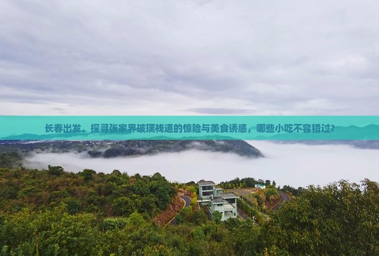 长春出发，探寻张家界玻璃栈道的惊险与美食诱惑，哪些小吃不容错过？