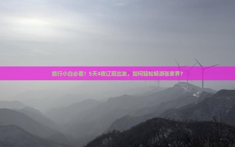 旅行小白必看！5天4夜辽阳出发，如何轻松畅游张家界？