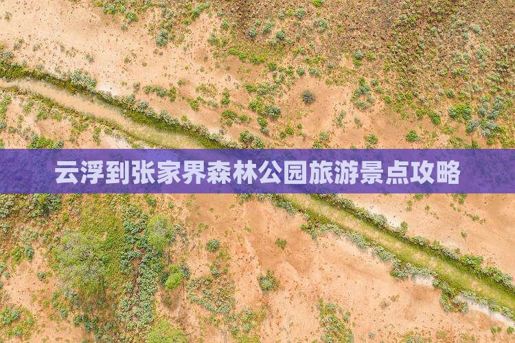 云浮到张家界森林公园旅游景点攻略