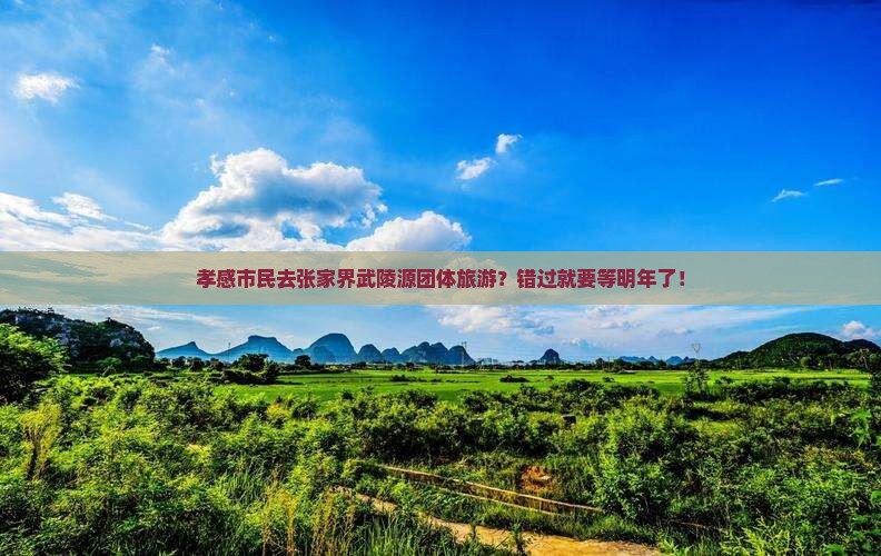 孝感市民去张家界武陵源团体旅游？错过就要等明年了！