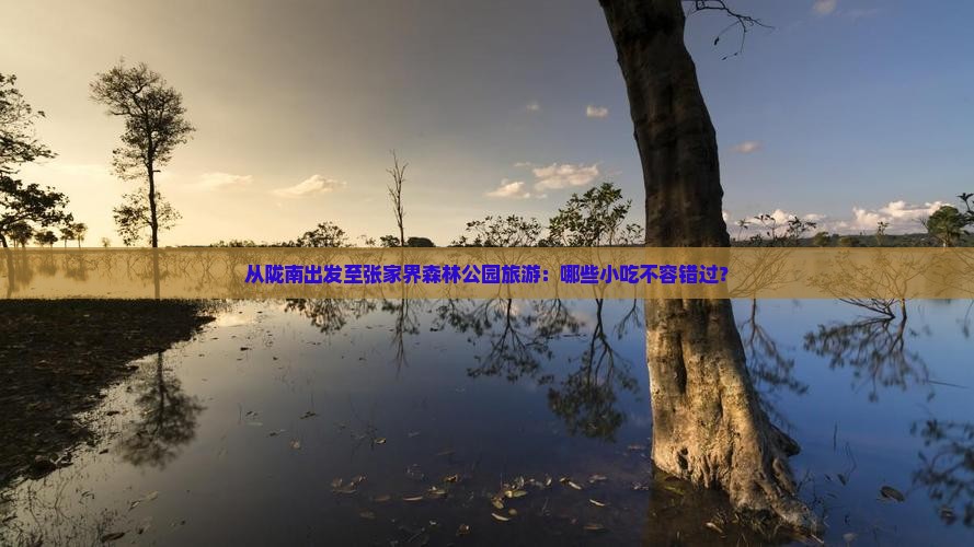 从陇南出发至张家界森林公园旅游：哪些小吃不容错过？