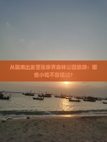 从陇南出发至张家界森林公园旅游：哪些小吃不容错过？