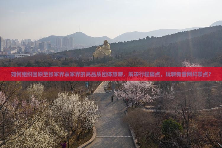 如何组织固原至张家界袁家界的高品质团体旅游，解决行程痛点，玩转新晋网红景点？