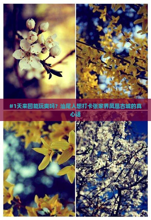 #1天来回能玩爽吗？汕尾人想打卡张家界凤凰古城的真心话