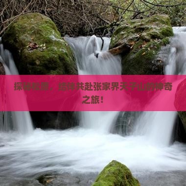 探秘松原，结伴共赴张家界天子山的神奇之旅！