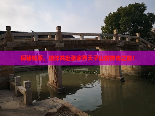 探秘松原，结伴共赴张家界天子山的神奇之旅！