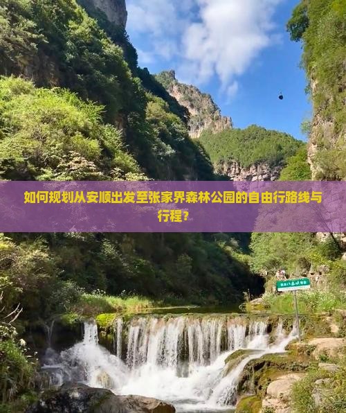 如何规划从安顺出发至张家界森林公园的自由行路线与行程？