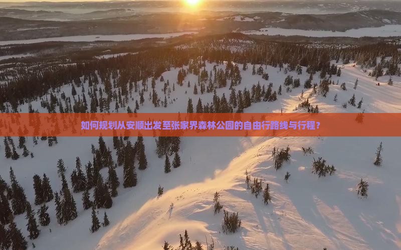 如何规划从安顺出发至张家界森林公园的自由行路线与行程？