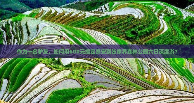 作为一名驴友，如何用600元搞定泰安到张家界森林公园六日深度游？