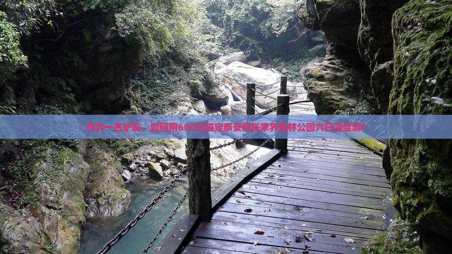 作为一名驴友，如何用600元搞定泰安到张家界森林公园六日深度游？