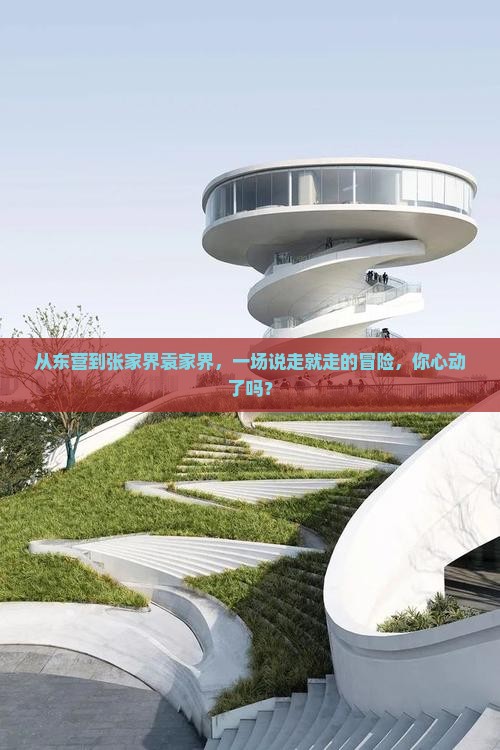 从东营到张家界袁家界，一场说走就走的冒险，你心动了吗？