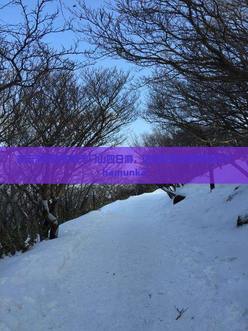 连云港到张家界天门山四日游，这里风景如画等你来 khámunka