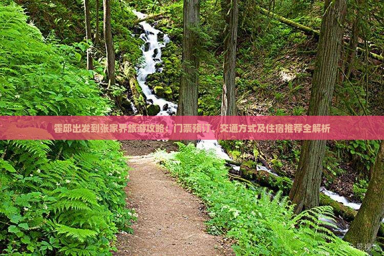 霍邱出发到张家界旅游攻略：门票预订、交通方式及住宿推荐全解析