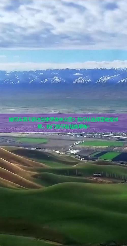 如何从铜川前往张家界森林公园？旅行社选择困难症求解，热门旅行新趋势解析！