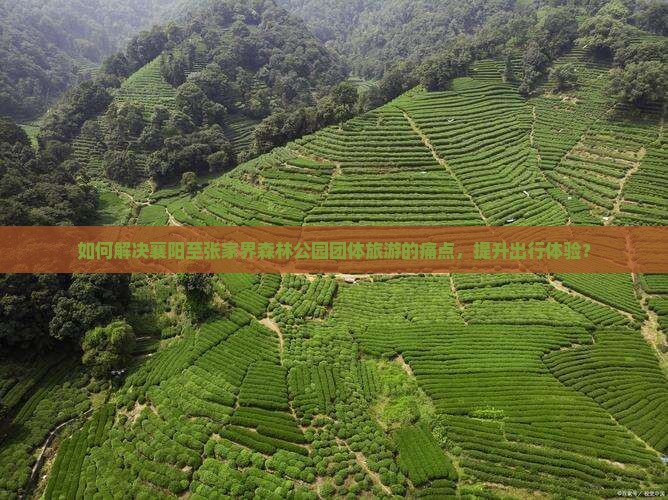 如何解决襄阳至张家界森林公园团体旅游的痛点，提升出行体验？