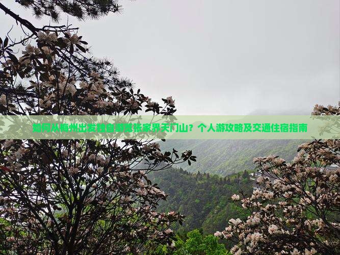 如何从梅州出发独自游览张家界天门山？个人游攻略及交通住宿指南