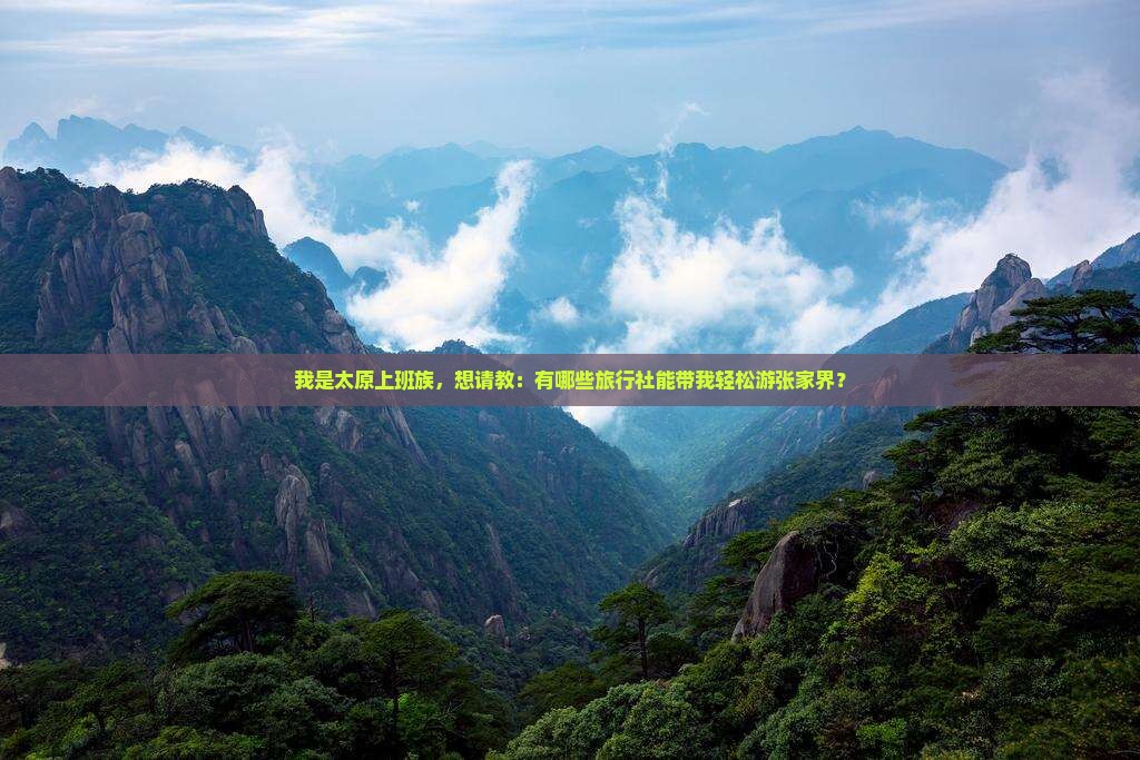 我是太原上班族，想请教：有哪些旅行社能带我轻松游张家界？