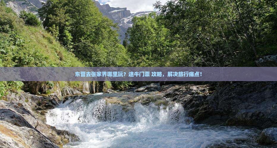 东营去张家界哪里玩？途牛门票+攻略，解决旅行痛点！