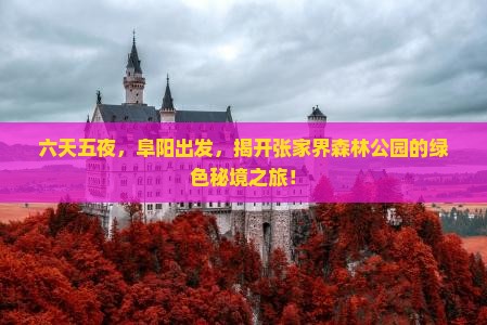 六天五夜，阜阳出发，揭开张家界森林公园的绿色秘境之旅！