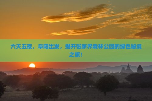 六天五夜，阜阳出发，揭开张家界森林公园的绿色秘境之旅！