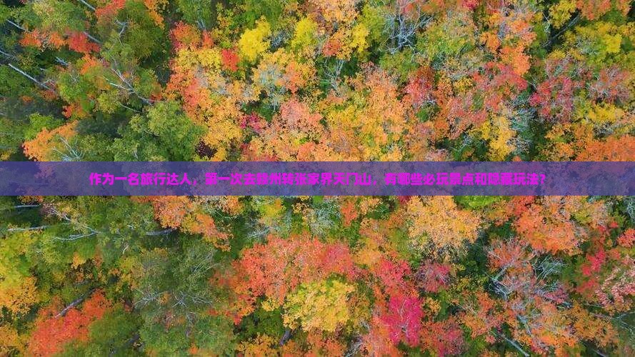 作为一名旅行达人，第一次去赣州转张家界天门山，有哪些必玩景点和隐藏玩法？