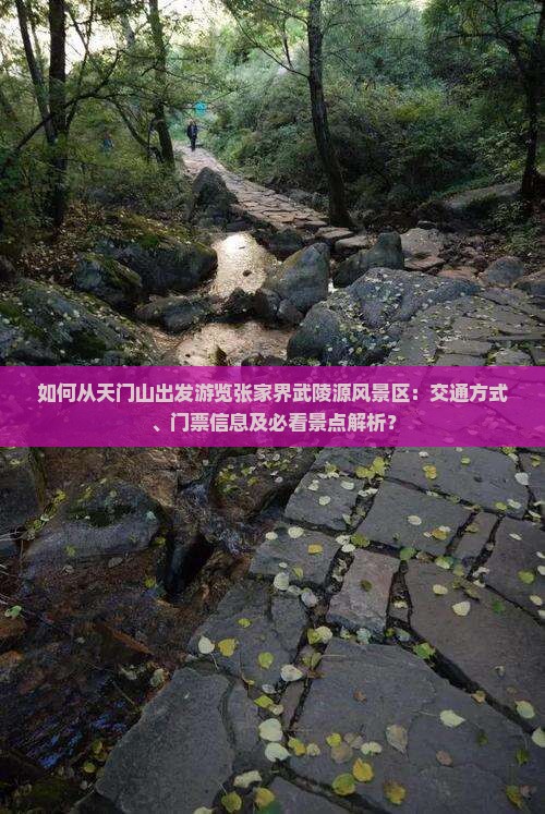 如何从天门山出发游览张家界武陵源风景区：交通方式、门票信息及必看景点解析？