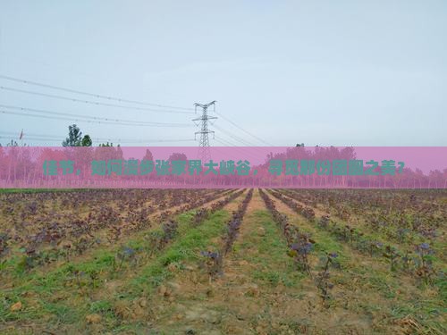 佳节，如何漫步张家界大峡谷，寻觅那份团圆之美？