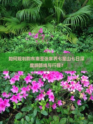 如何规划黔东南至张家界七星山七日深度游路线与行程？