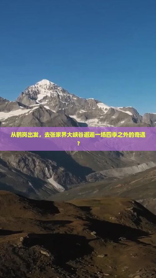从鹤岗出发，去张家界大峡谷邂逅一场四季之外的奇遇？
