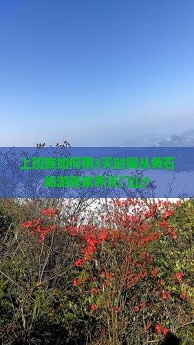 上班族如何用3天时间从黄石畅游张家界天门山？