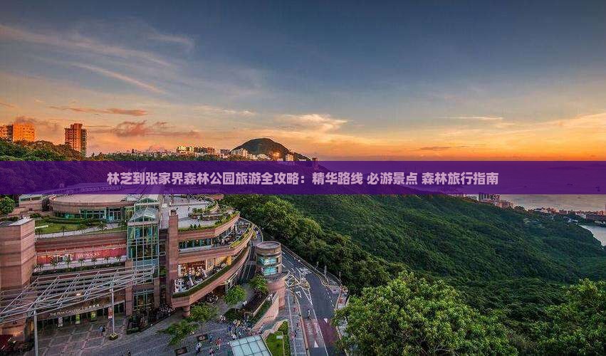 林芝到张家界森林公园旅游全攻略：精华路线+必游景点+森林旅行指南