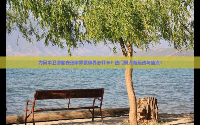为何中卫游客去张家界袁家界必打卡？热门景点新玩法与痛点！