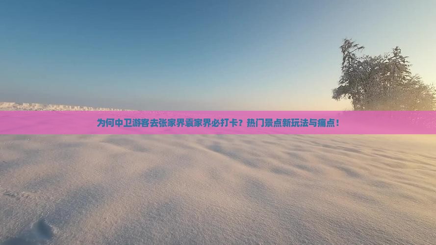 为何中卫游客去张家界袁家界必打卡？热门景点新玩法与痛点！