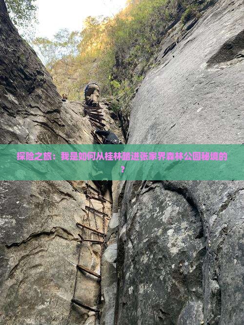 探险之旅：我是如何从桂林踏进张家界森林公园秘境的？