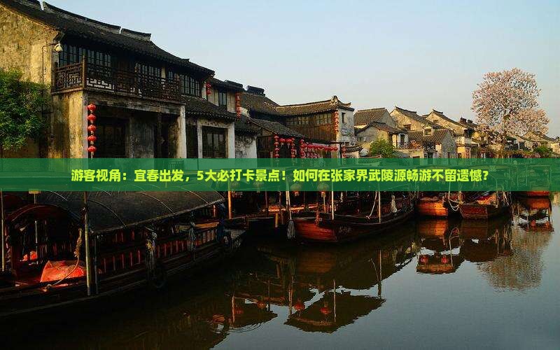游客视角：宜春出发，5大必打卡景点！如何在张家界武陵源畅游不留遗憾？