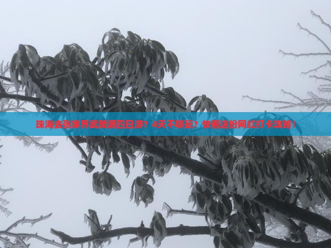 珠海去张家界武陵源四日游？4天不够玩？快看这份网红打卡攻略！