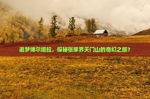 追梦博尔塔拉，探秘张家界天门山的奇幻之旅？