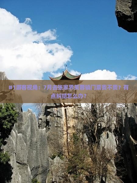 #1游客视角：7月去张家界芙蓉镇门票贵不贵？有点纠结怎么办？