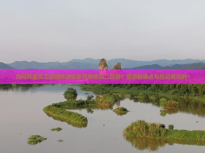 为何阿里员工都选择去张家界芙蓉镇二日游？旅游新痛点与热词背后的！