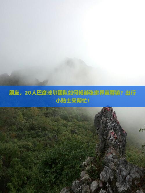 朋友，20人巴彦淖尔团队如何畅游张家界芙蓉镇？出行小贴士来帮忙！